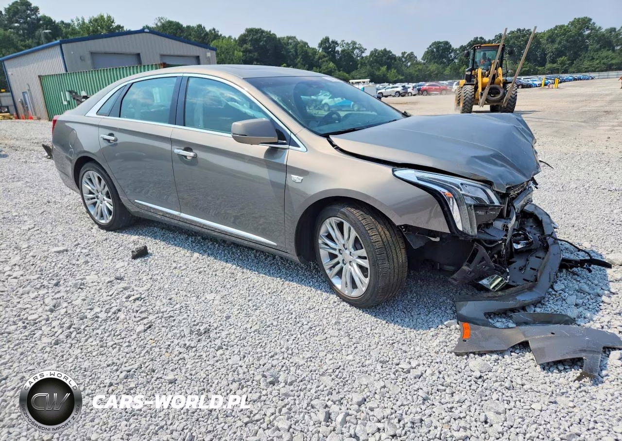 2019 Cadillac Xts Luxury VIN:2G61M5S32K9119192 - 4