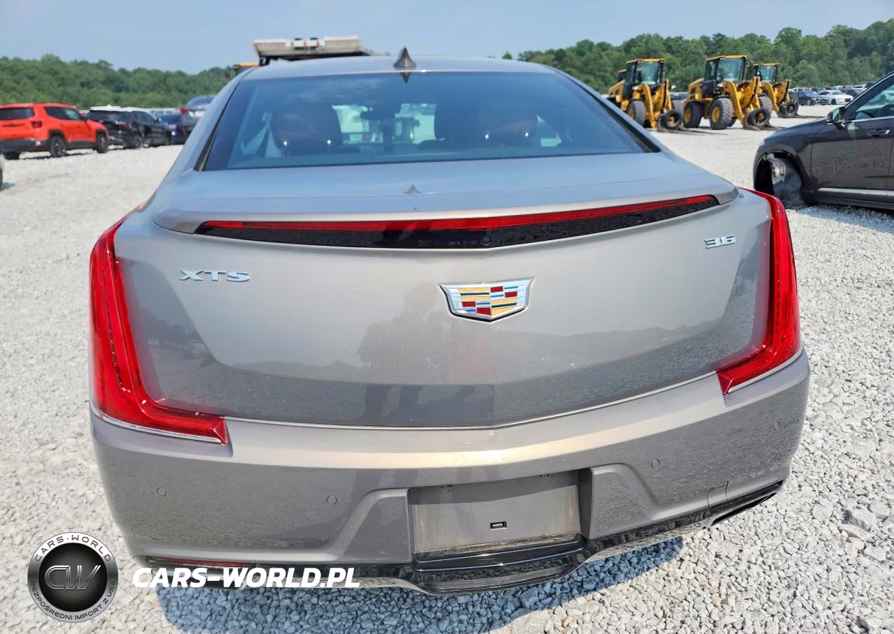 2019 Cadillac Xts Luxury VIN:2G61M5S32K9119192 - 6