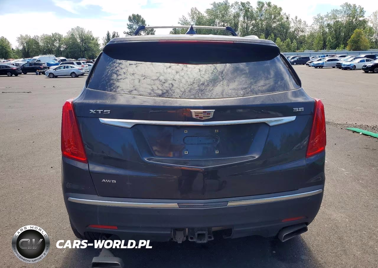 2019 Cadillac Xt5 Premium Luxury VIN:1GYKNFRSXKZ160963 - 6