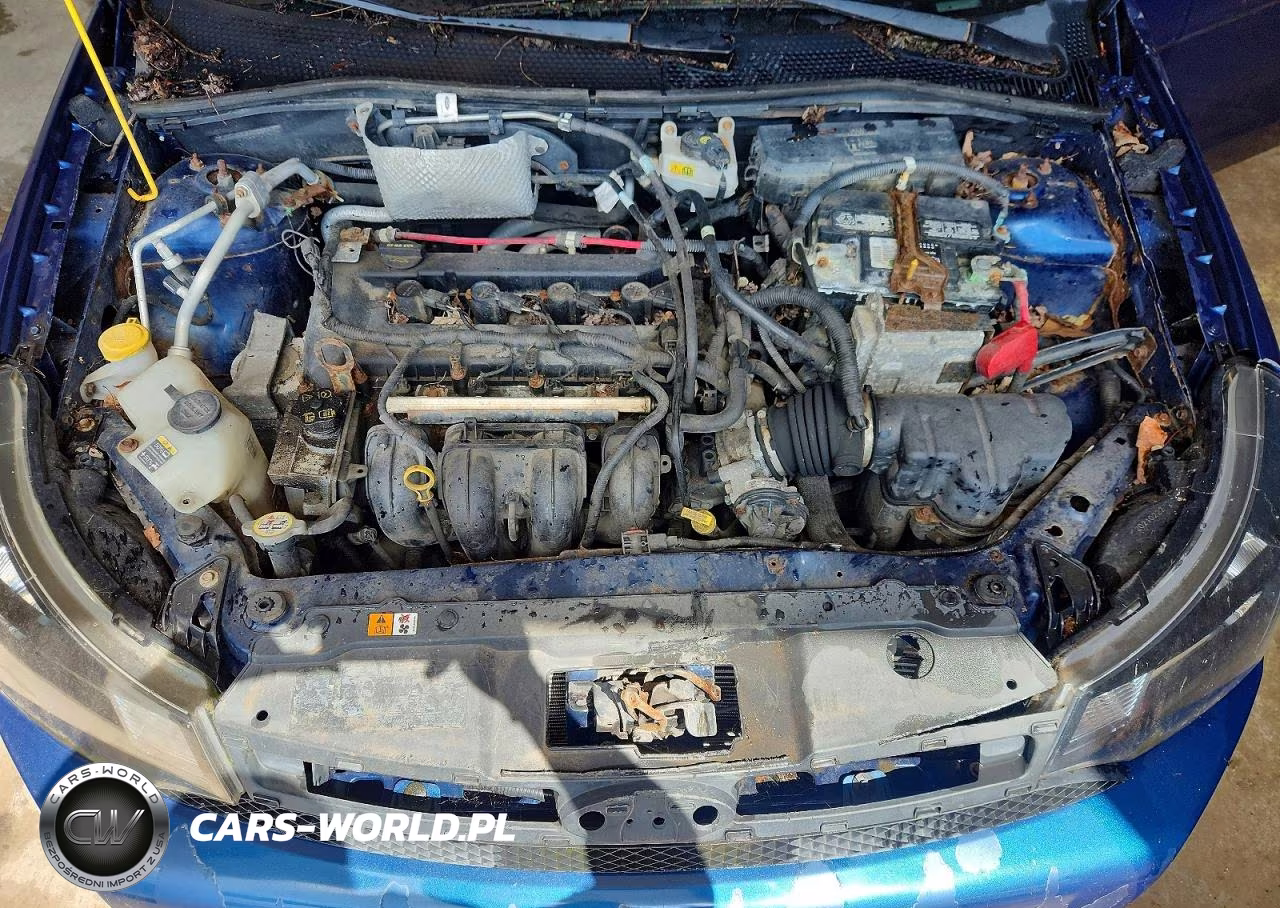 2009 Ford Focus Ses VIN:1FAHP36N69W131260 - 11