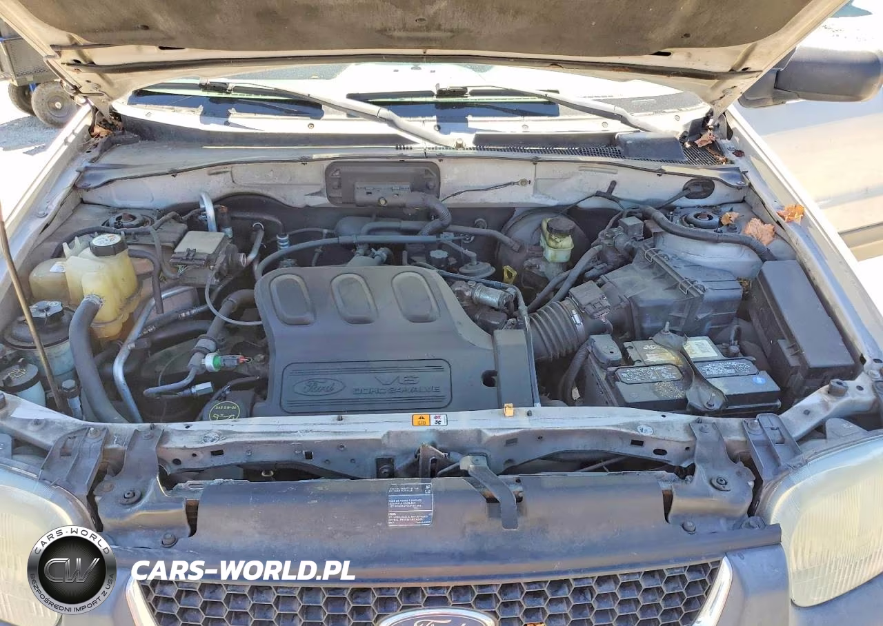 2003 Ford Escape Xlt VIN:1FMYU03133KD07226 - 12