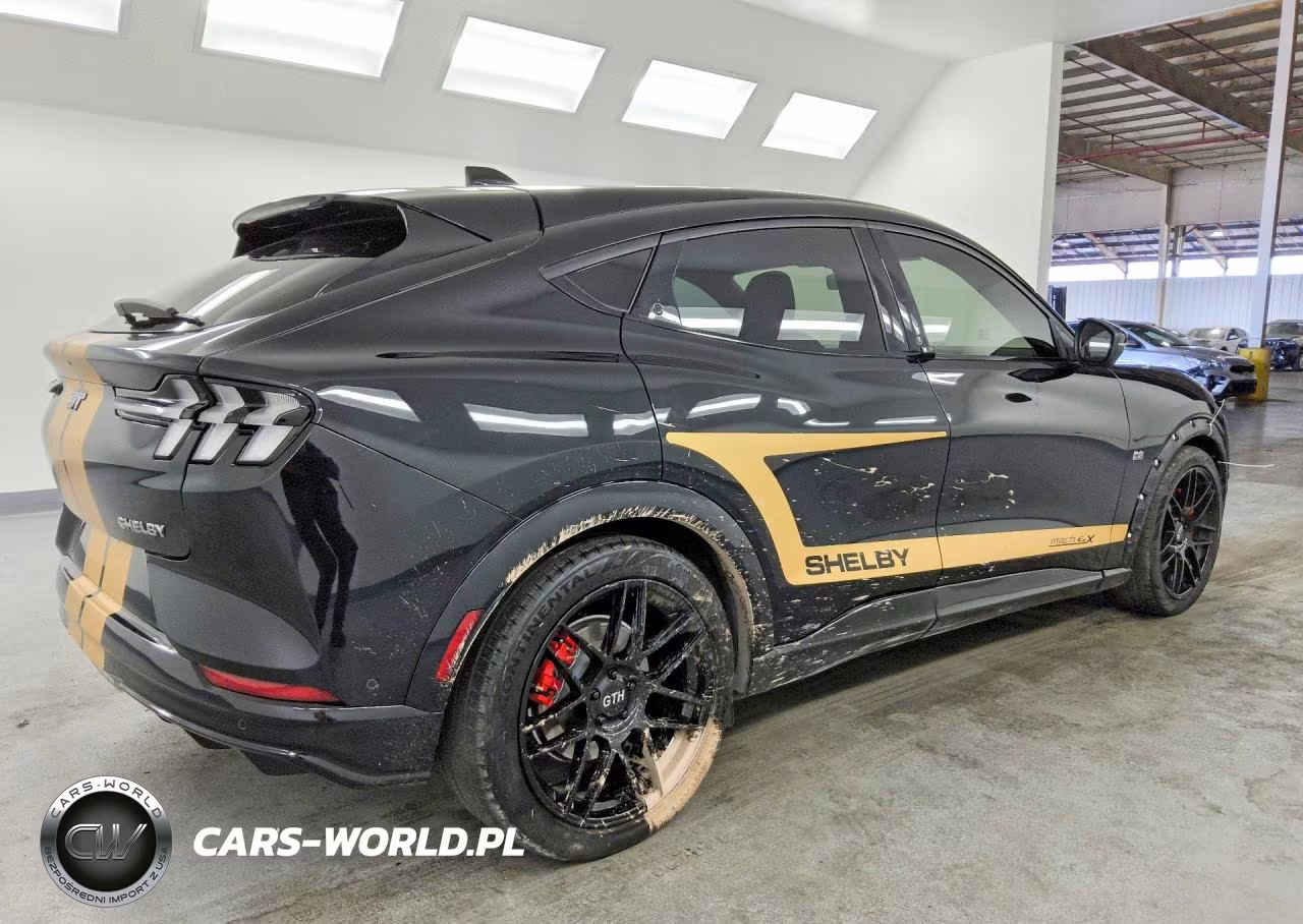 2023 Ford Mustang Mach-E Gt VIN:3FMTK4SE8PMA75958 - 3