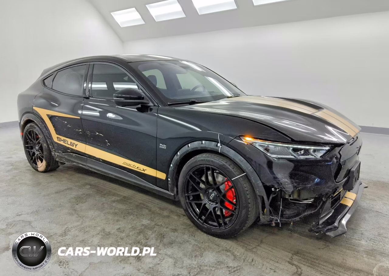 2023 Ford Mustang Mach-E Gt VIN:3FMTK4SE8PMA75958 - 4
