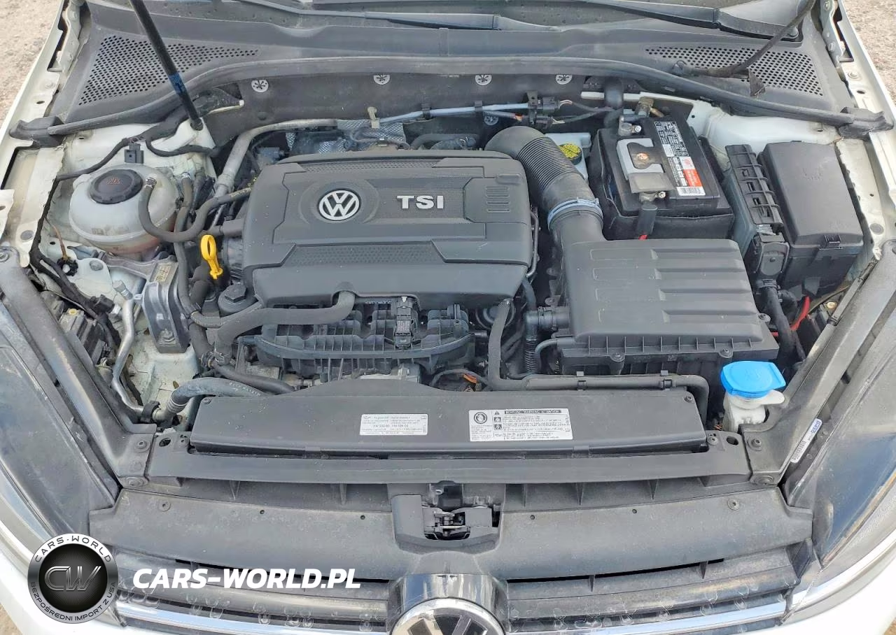 2018 Volkswagen Golf Sportwagen S VIN:3VWD17AU2JM751525 - 11