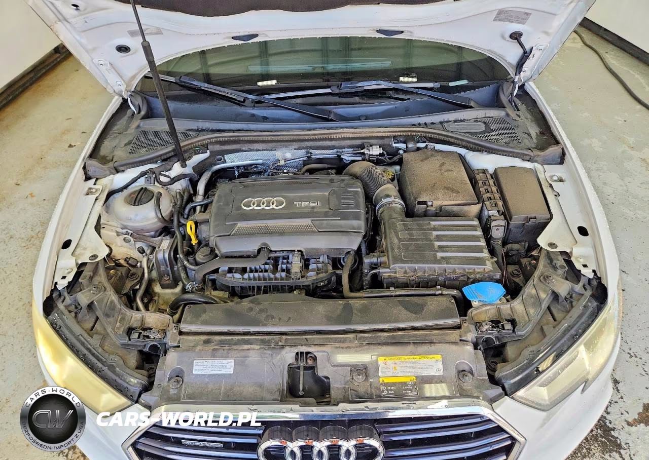 2017 Audi A3 Premium Plus VIN:WAUJ8GFF9H1009686 - 11