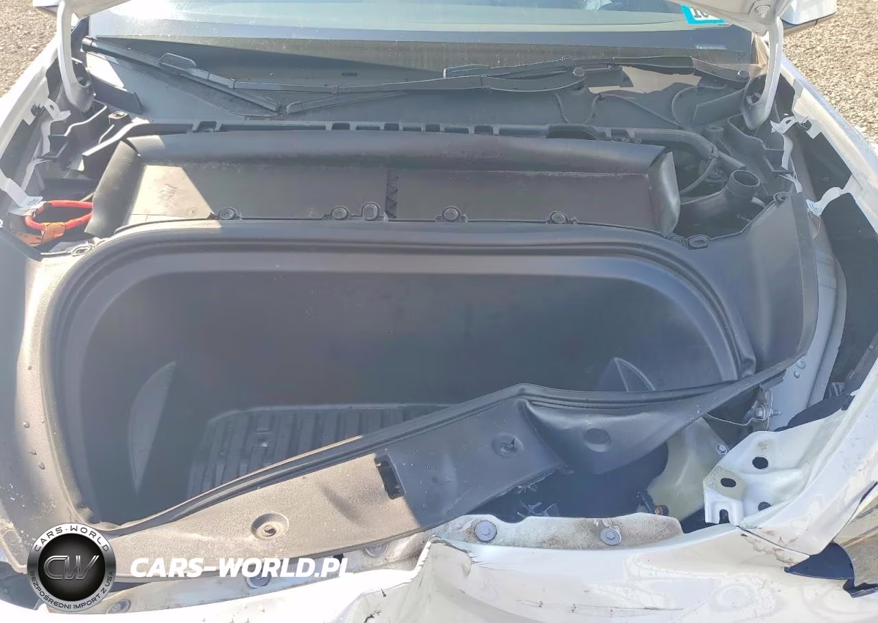 2024 Tesla Model Y VIN:7SAYGDEE7RA311739 - 12