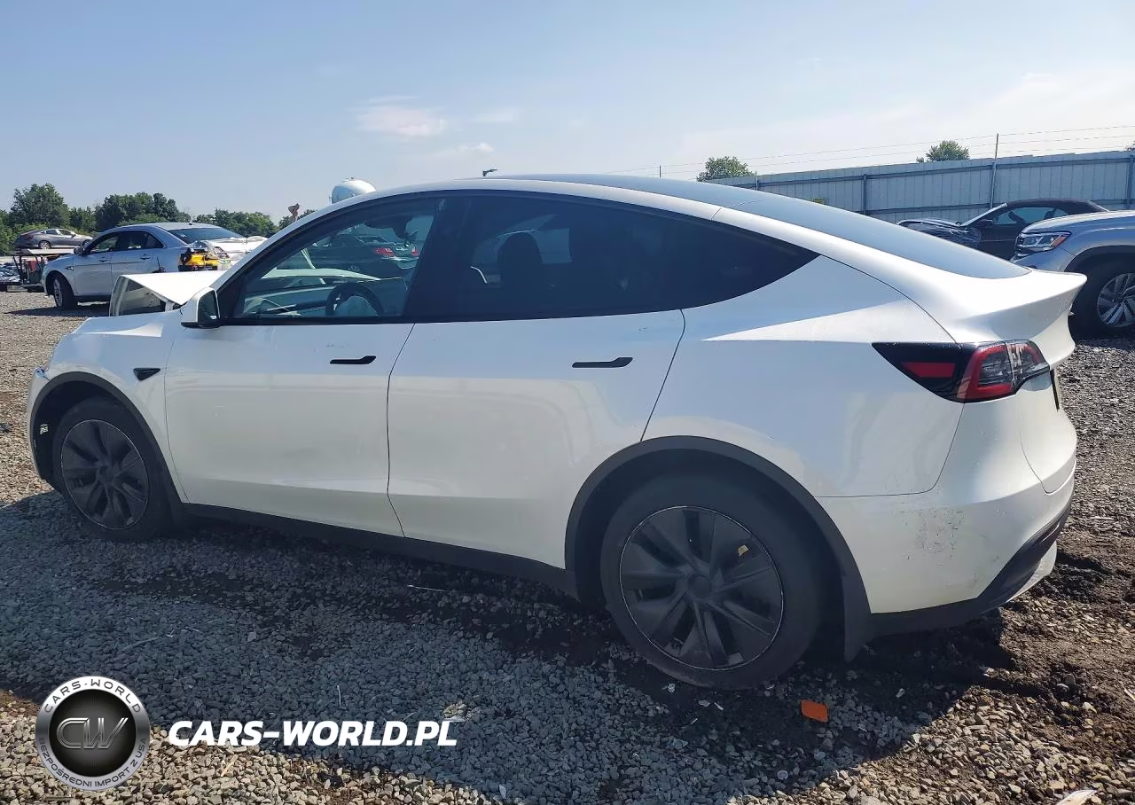 2024 Tesla Model Y VIN:7SAYGDEE7RA311739 - 2