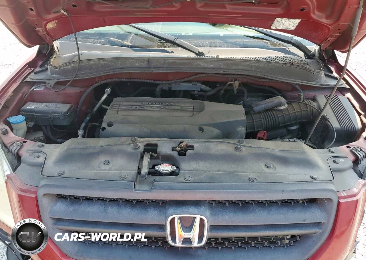 2004 Honda Pilot Exl VIN:5FNYF18584B001265 - 12
