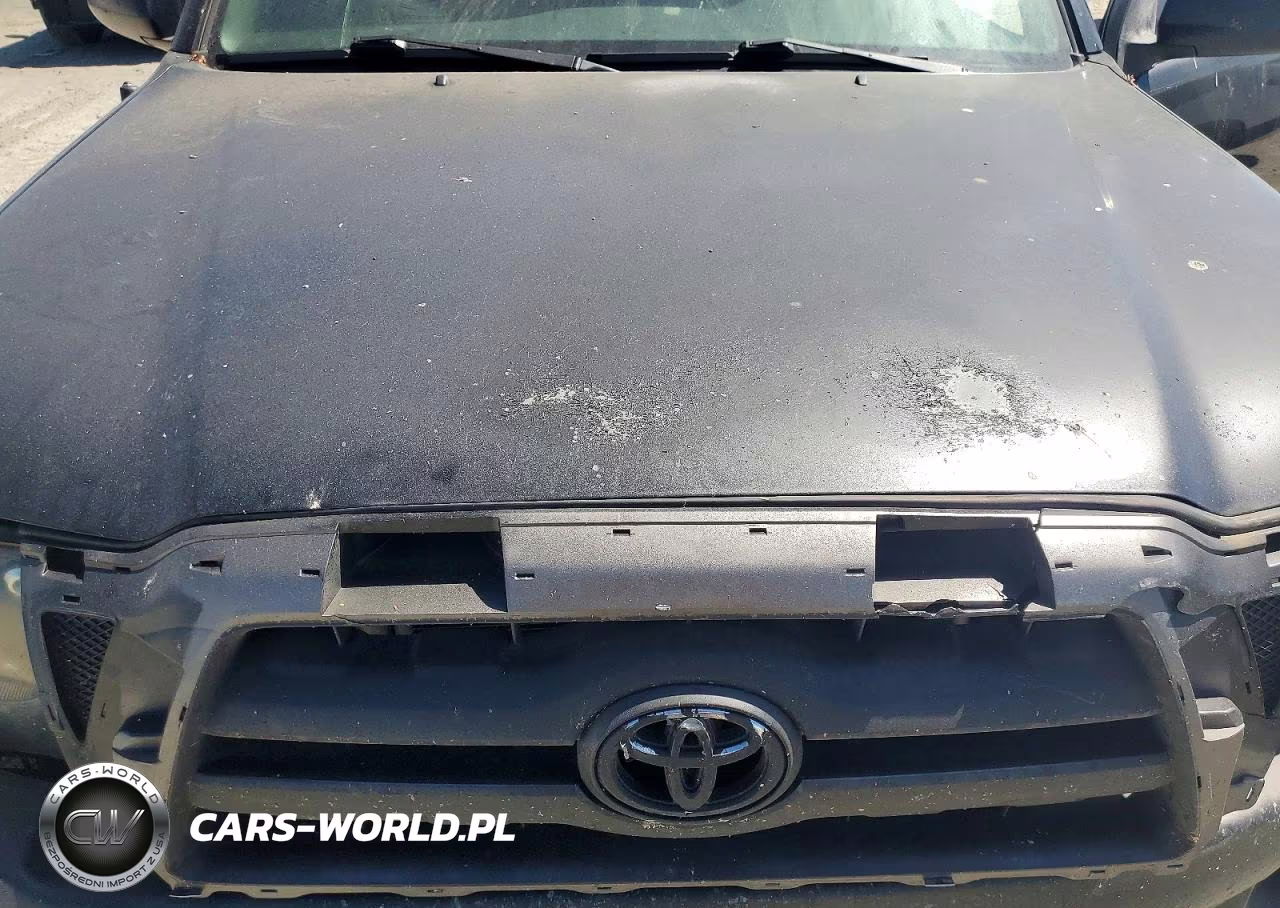 2009 Toyota Tacoma Base VIN:5TENX22N09Z647579 - 11