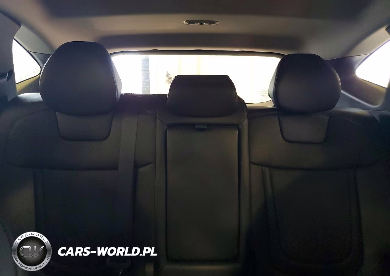 2024 Hyundai Tucson Limited VIN:KM8JECD19RU202993 - 10