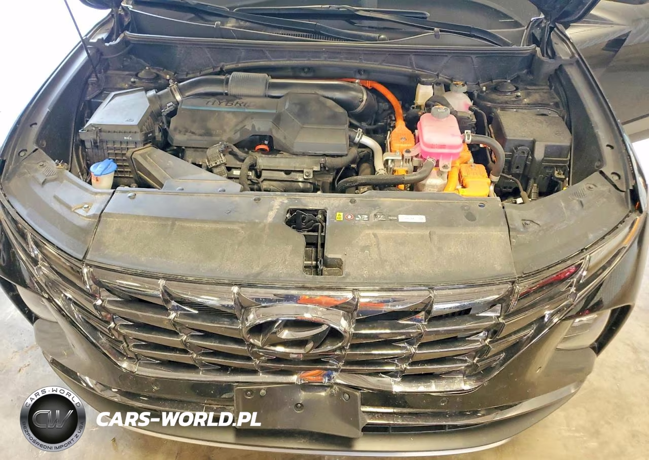 2024 Hyundai Tucson Limited VIN:KM8JECD19RU202993 - 12