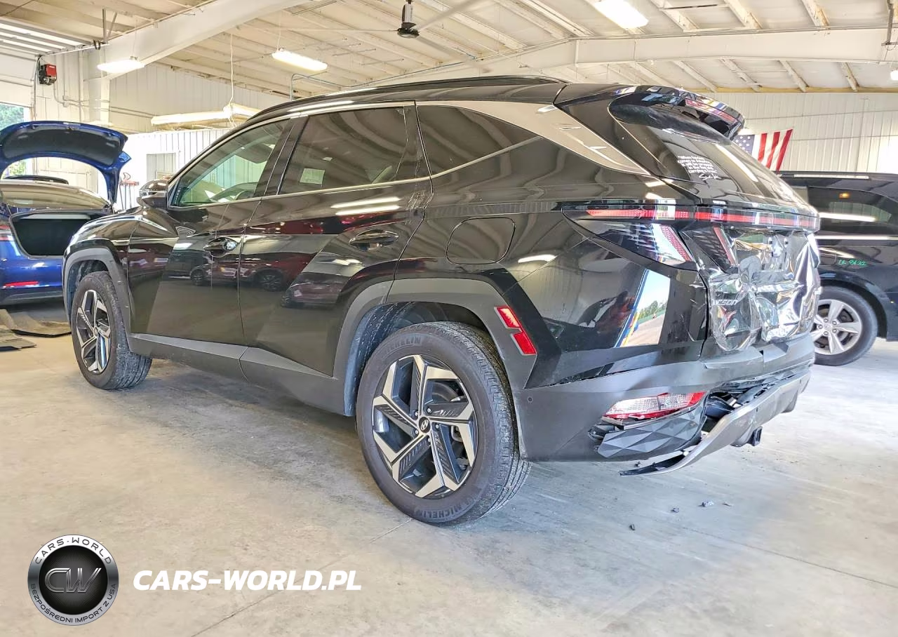 2024 Hyundai Tucson Limited VIN:KM8JECD19RU202993 - 2