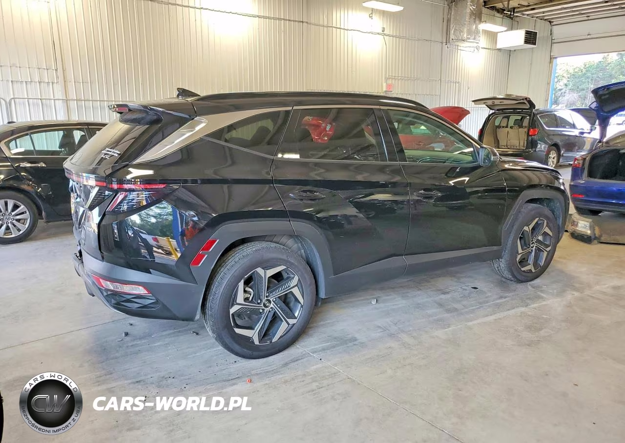 2024 Hyundai Tucson Limited VIN:KM8JECD19RU202993 - 3