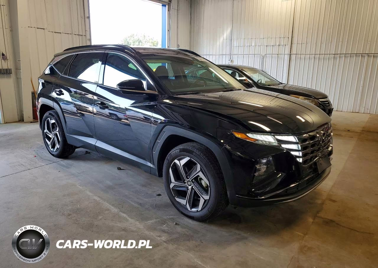 2024 Hyundai Tucson Limited VIN:KM8JECD19RU202993 - 4