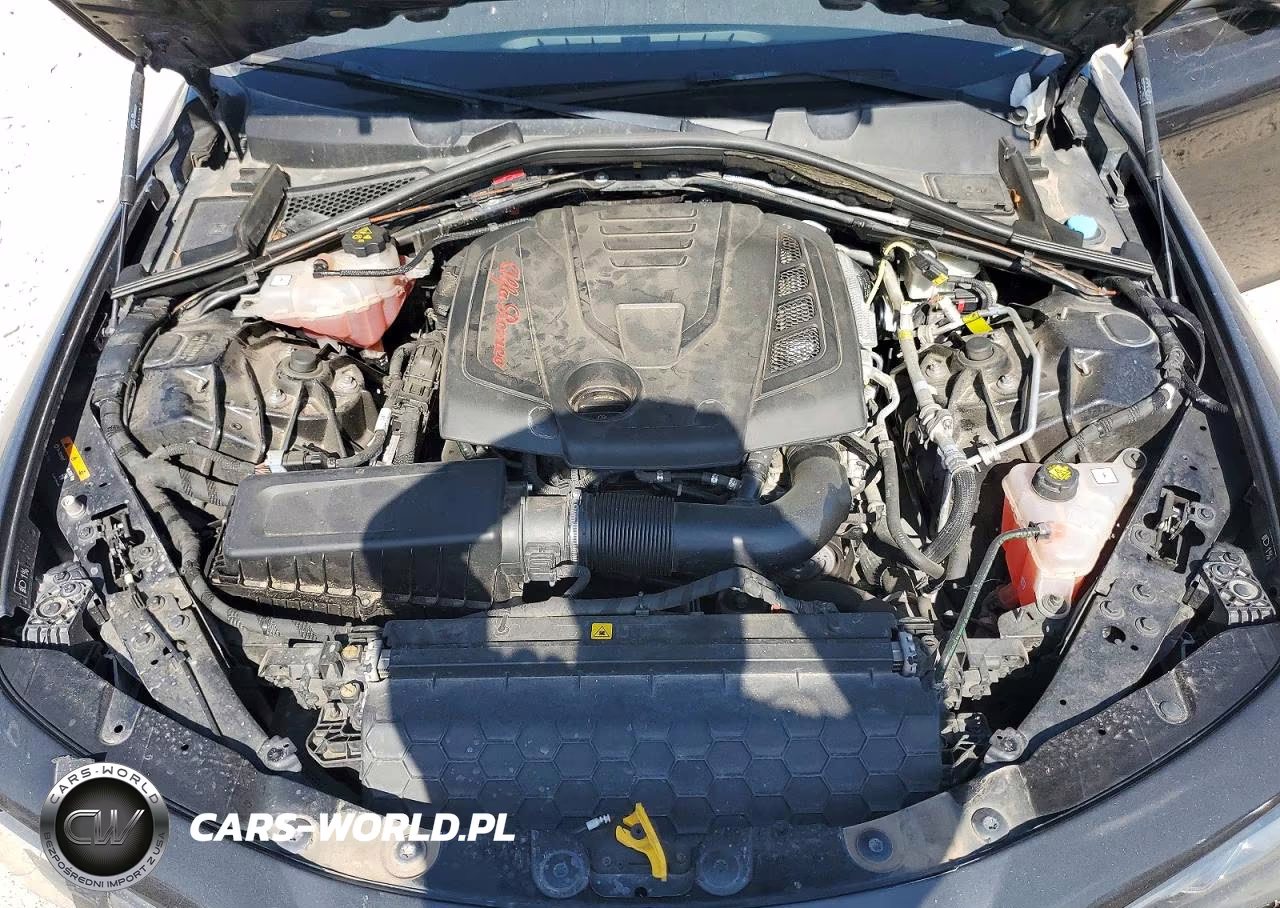 2020 Alfa Romeo Giulia VIN:ZARFAMAN2L7636641 - 11
