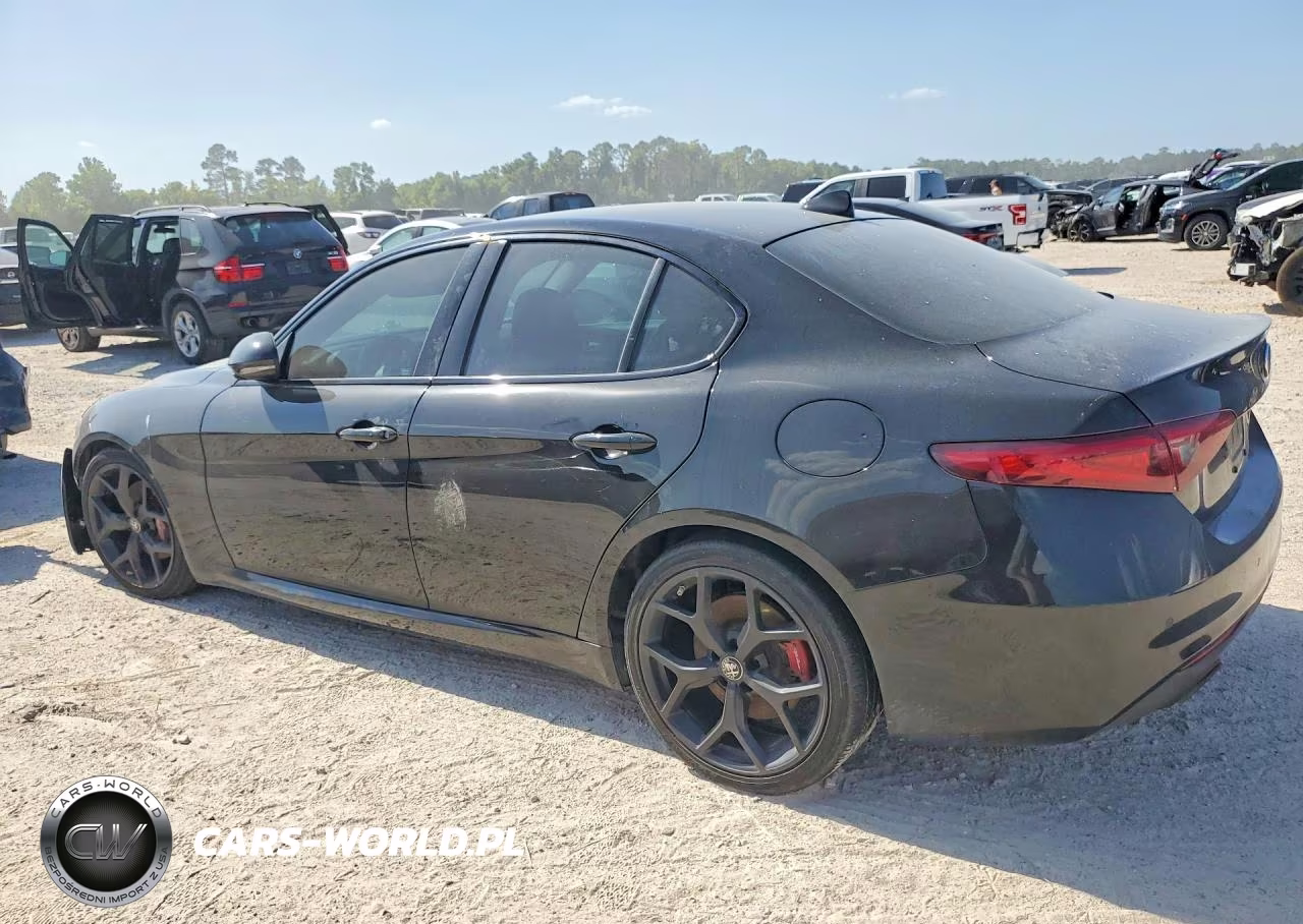 2020 Alfa Romeo Giulia VIN:ZARFAMAN2L7636641 - 2