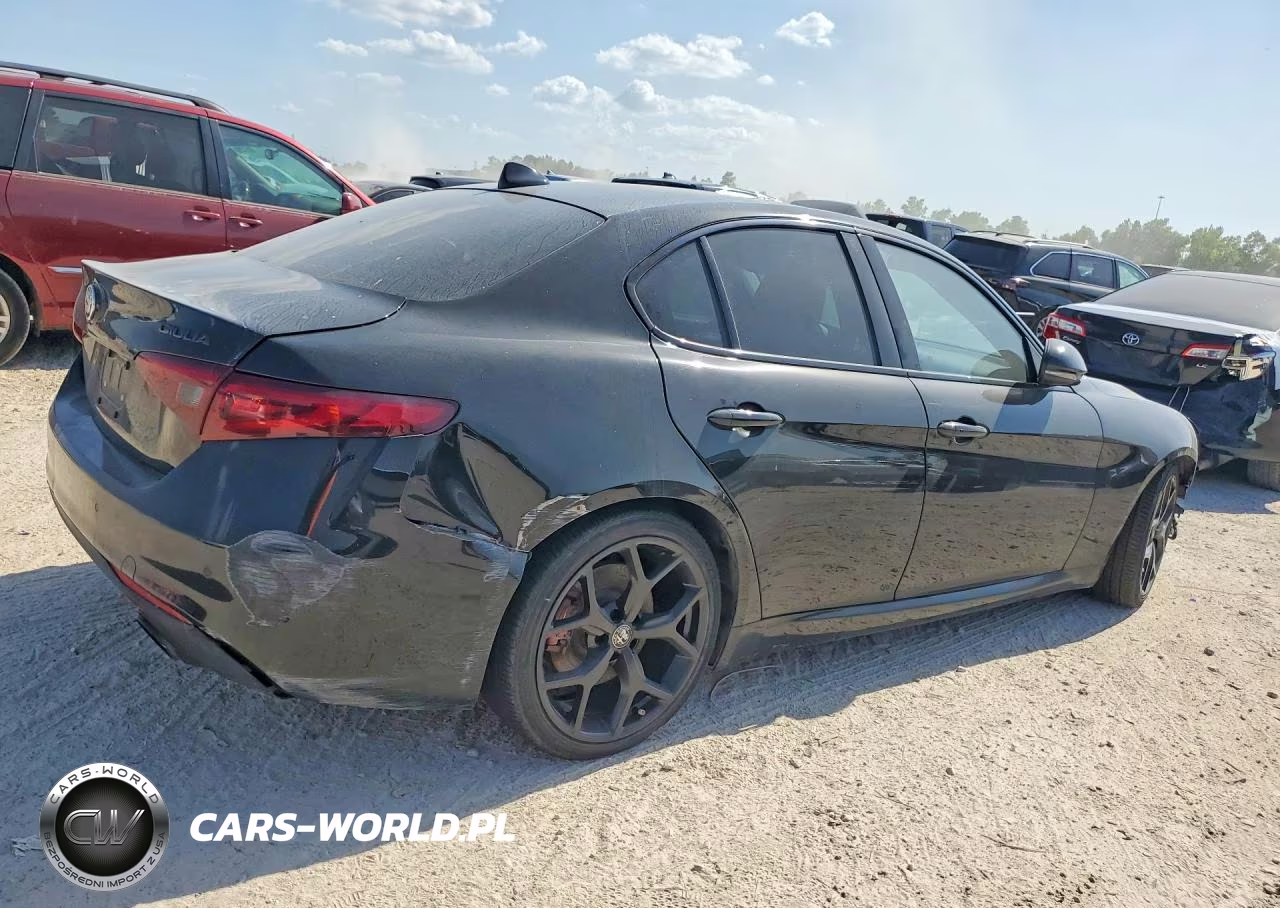 2020 Alfa Romeo Giulia VIN:ZARFAMAN2L7636641 - 3