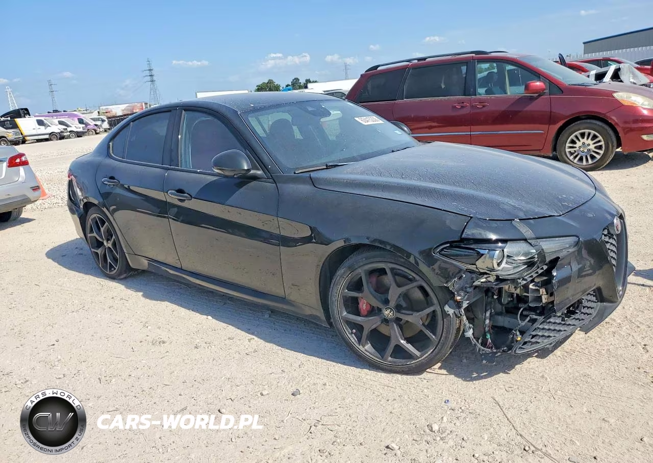 2020 Alfa Romeo Giulia VIN:ZARFAMAN2L7636641 - 4