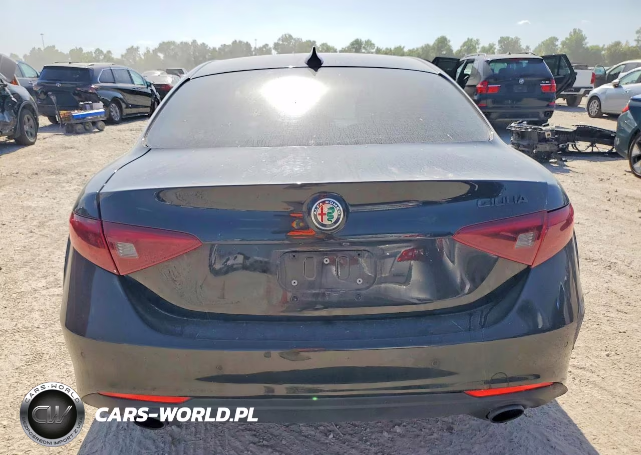 2020 Alfa Romeo Giulia VIN:ZARFAMAN2L7636641 - 6