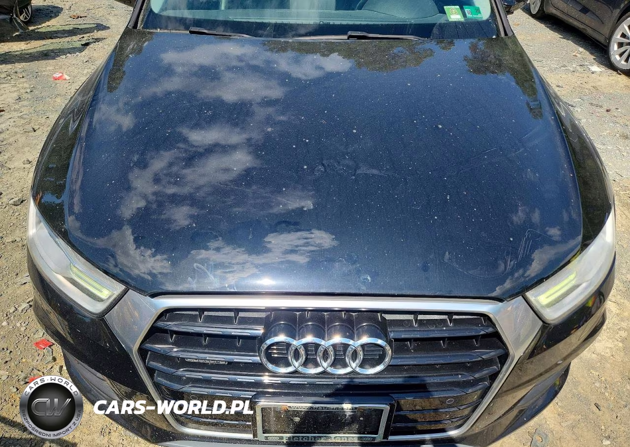 2016 Audi Q3 Premium Plus VIN:WA1EFCFS5GR000879 - 12