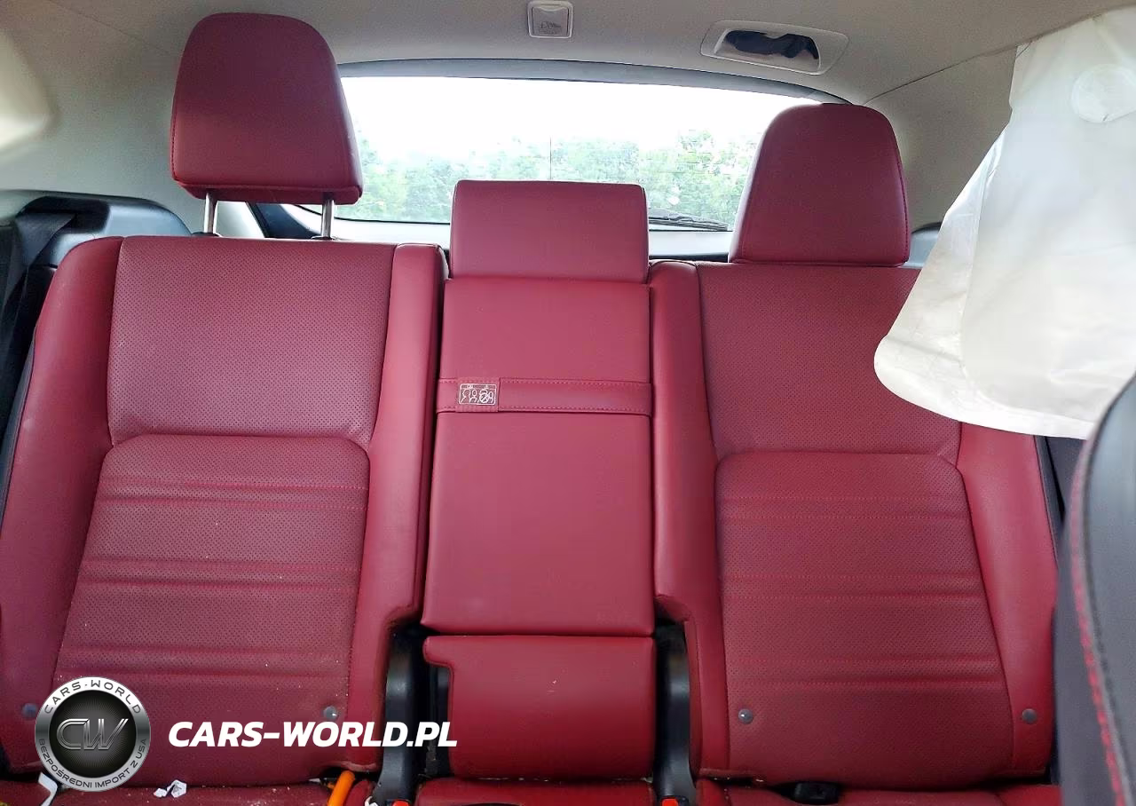 2020 Lexus Nx 300 VIN:JTJGARDZ6L5014806 - 10