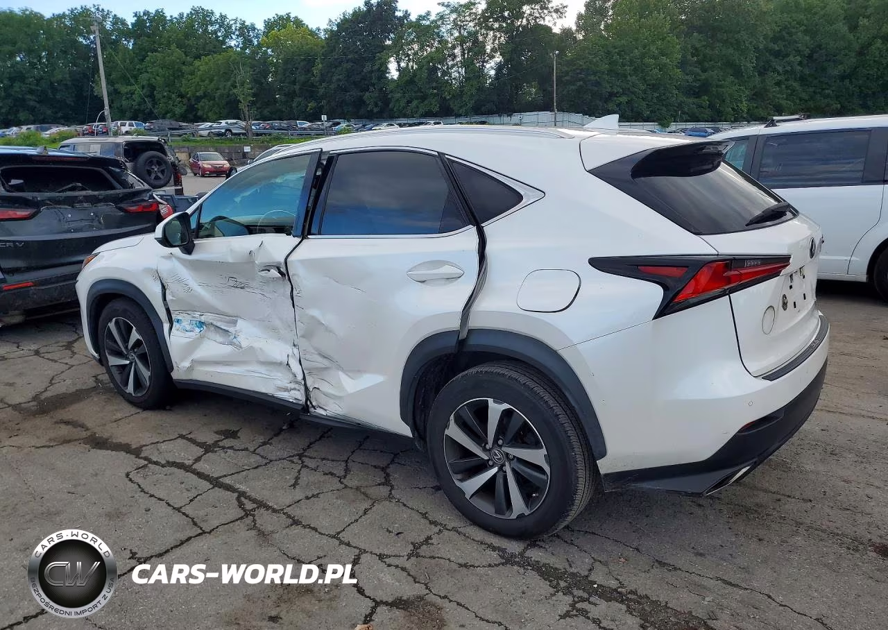 2020 Lexus Nx 300 VIN:JTJGARDZ6L5014806 - 2