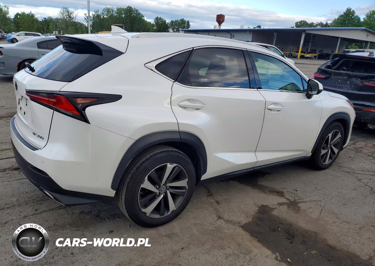 2020 Lexus Nx 300 VIN:JTJGARDZ6L5014806 - 3