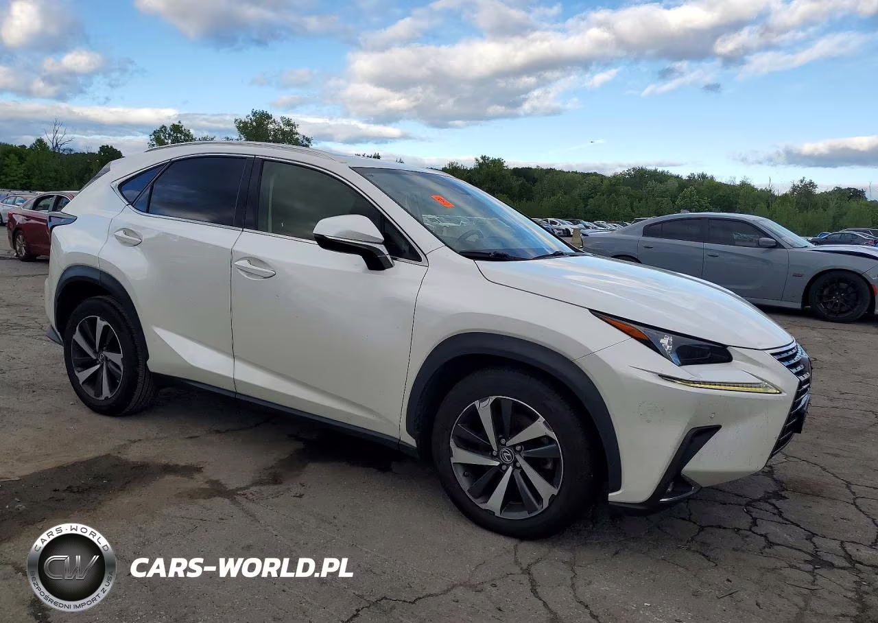 2020 Lexus Nx 300 VIN:JTJGARDZ6L5014806 - 4