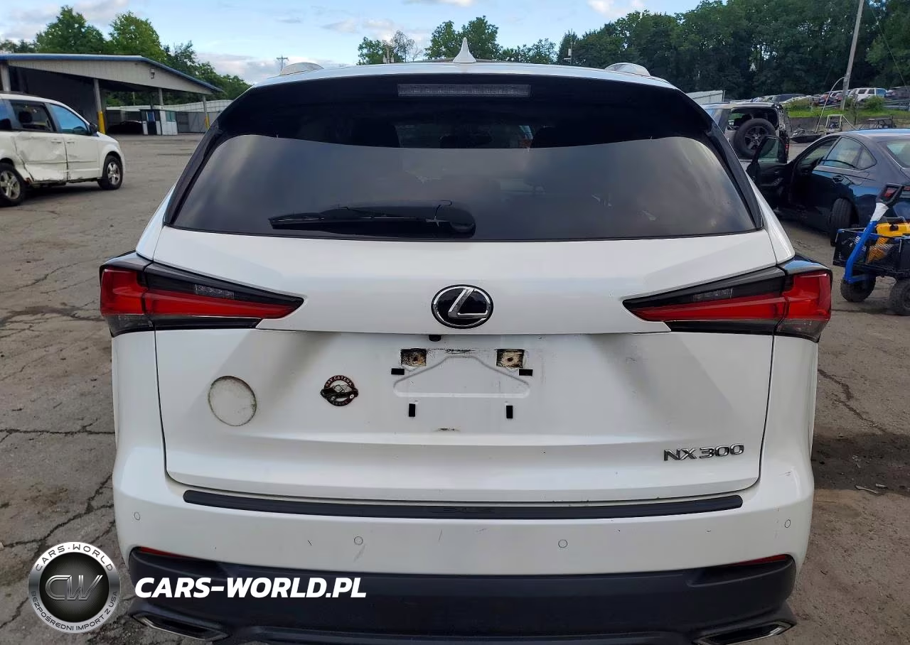 2020 Lexus Nx 300 VIN:JTJGARDZ6L5014806 - 6