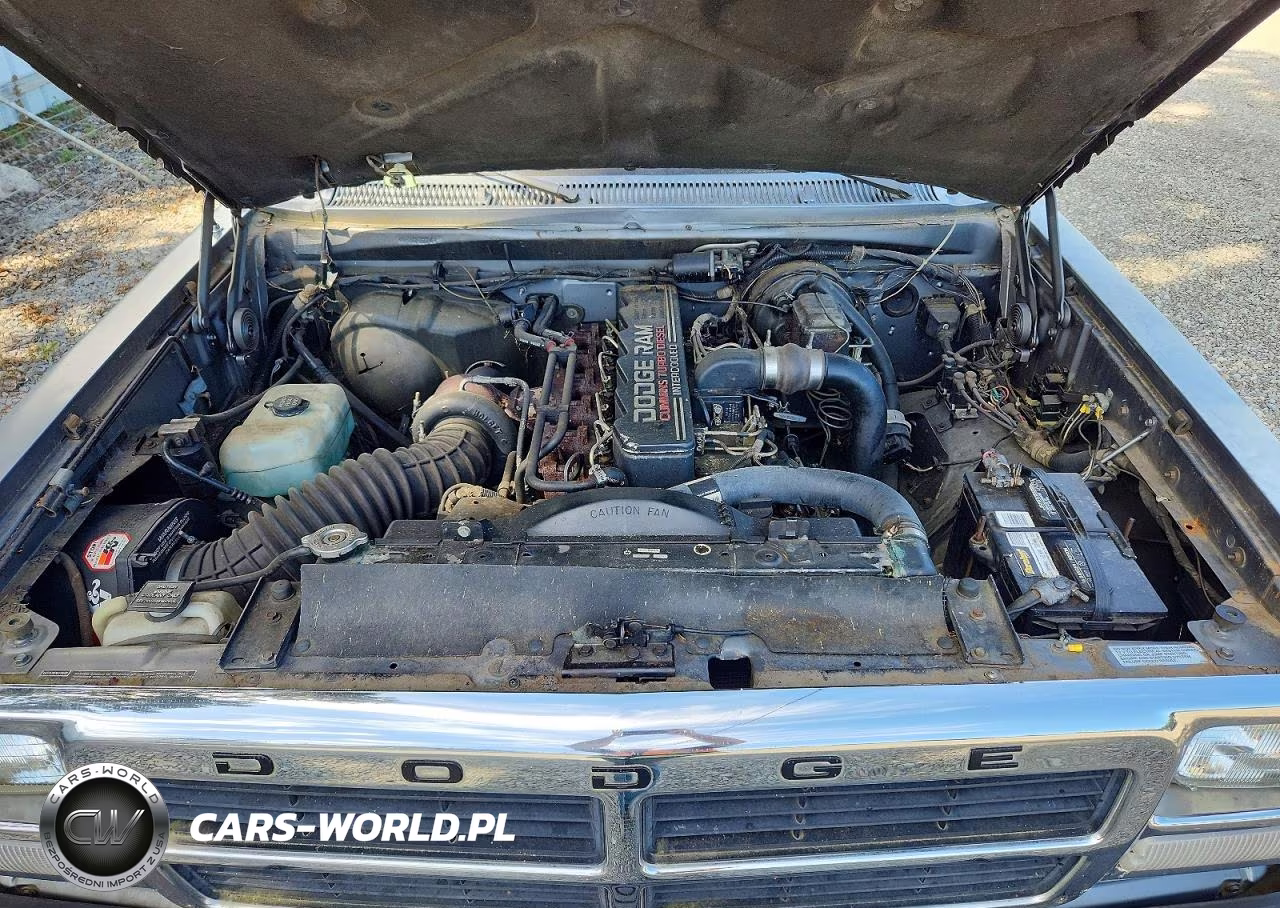 1993 Dodge D-Series D200 VIN:3B7KE23C8PM153745 - 11