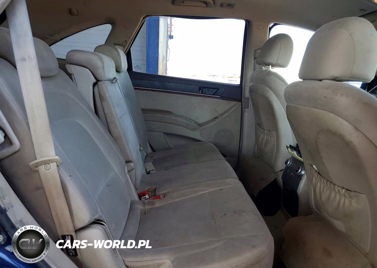 2007 Hyundai Veracruz Gls VIN:KM8NU13C47U017601 - 10