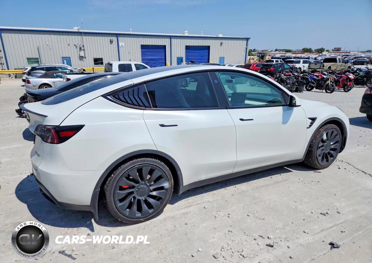 2024 Tesla Model Y VIN:7SAYGDEF8RA257201 - 3