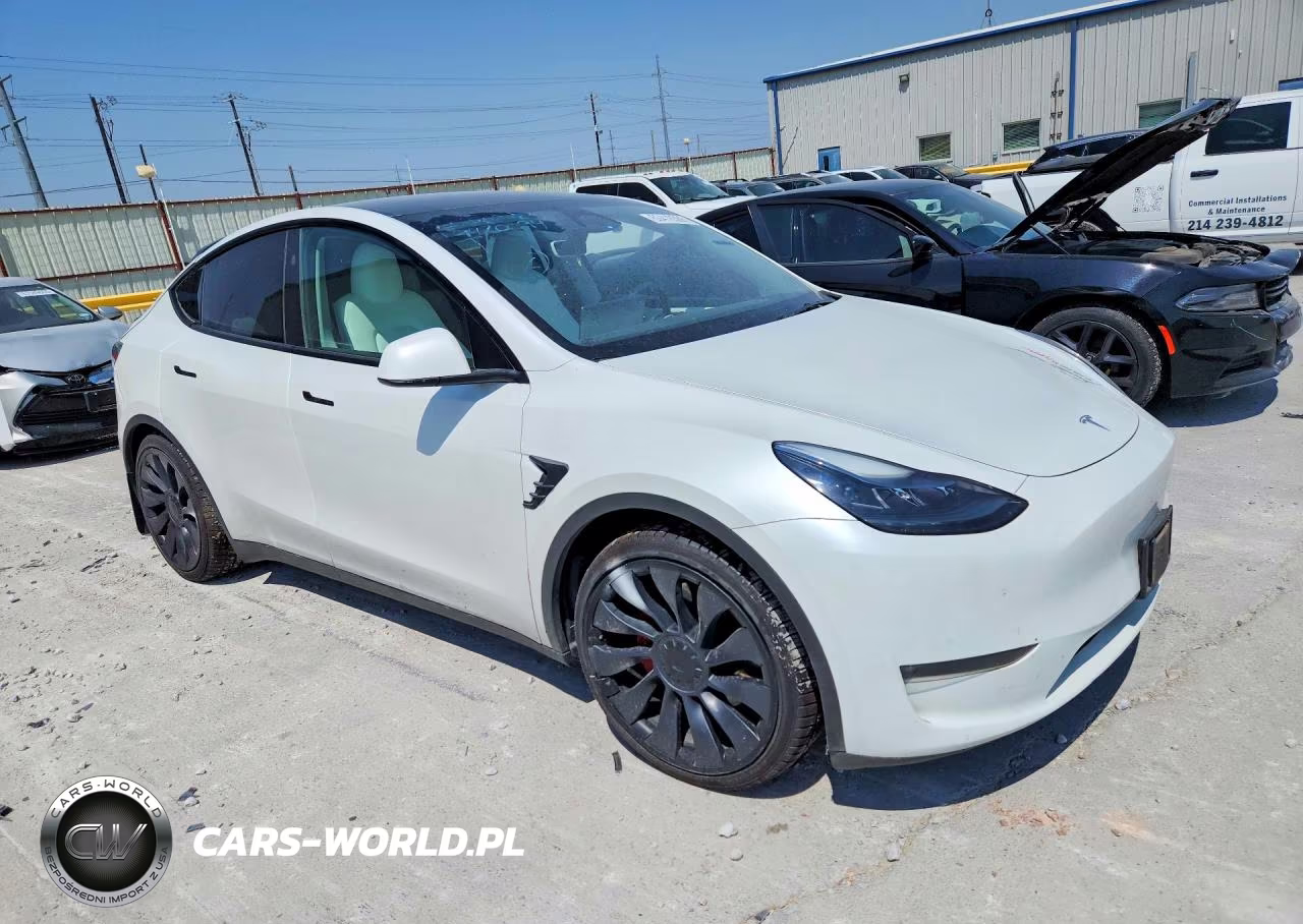 2024 Tesla Model Y VIN:7SAYGDEF8RA257201 - 4