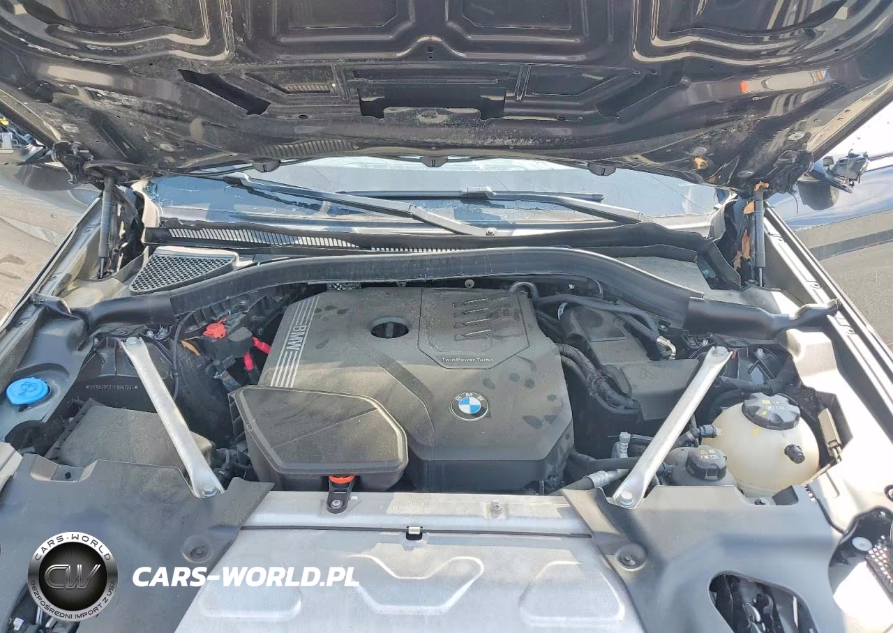 2023 BMW X3 xDrive30I VIN:5UX53DP07P9R81961 - 12