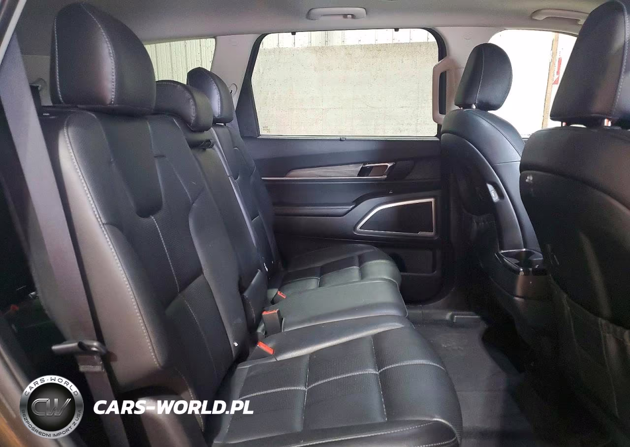 2020 Kia Telluride Ex VIN:5XYP34HC3LG090884 - 11