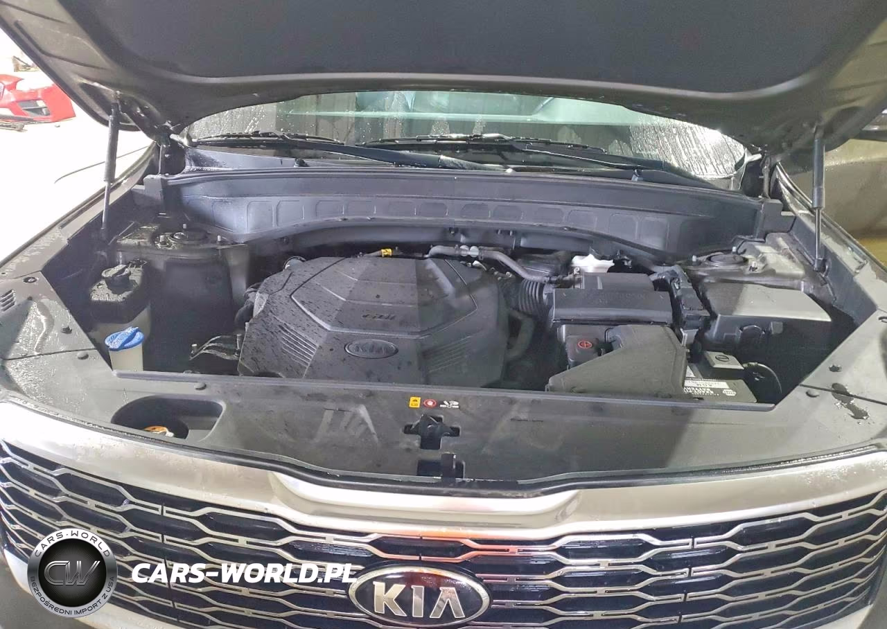 2020 Kia Telluride Ex VIN:5XYP34HC3LG090884 - 12