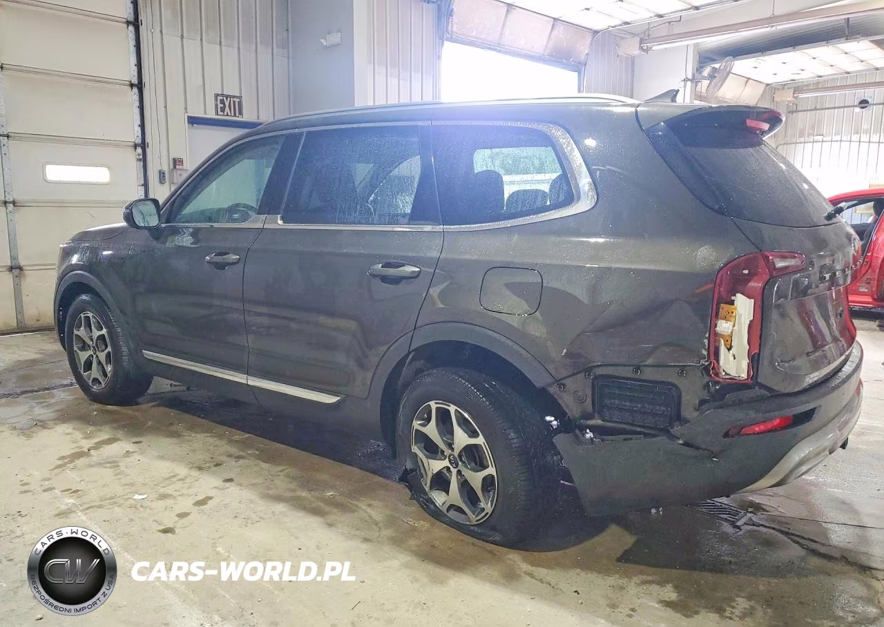 2020 Kia Telluride Ex VIN:5XYP34HC3LG090884 - 2