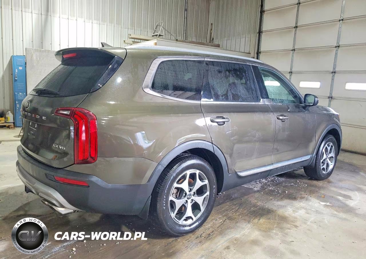 2020 Kia Telluride Ex VIN:5XYP34HC3LG090884 - 3