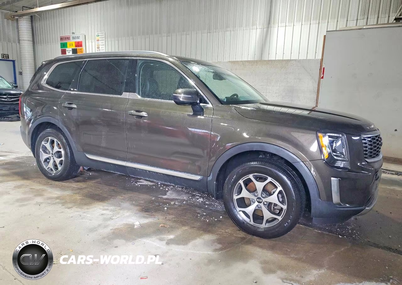 2020 Kia Telluride Ex VIN:5XYP34HC3LG090884 - 4