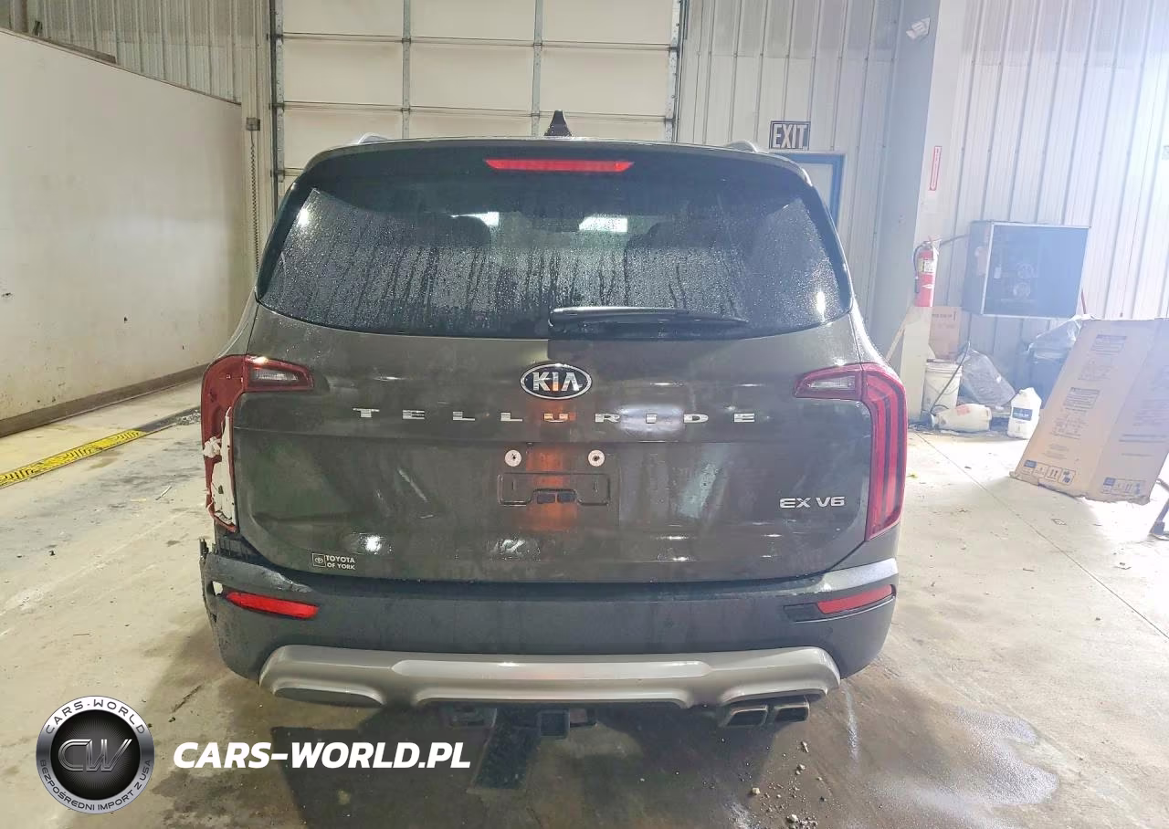 2020 Kia Telluride Ex VIN:5XYP34HC3LG090884 - 6