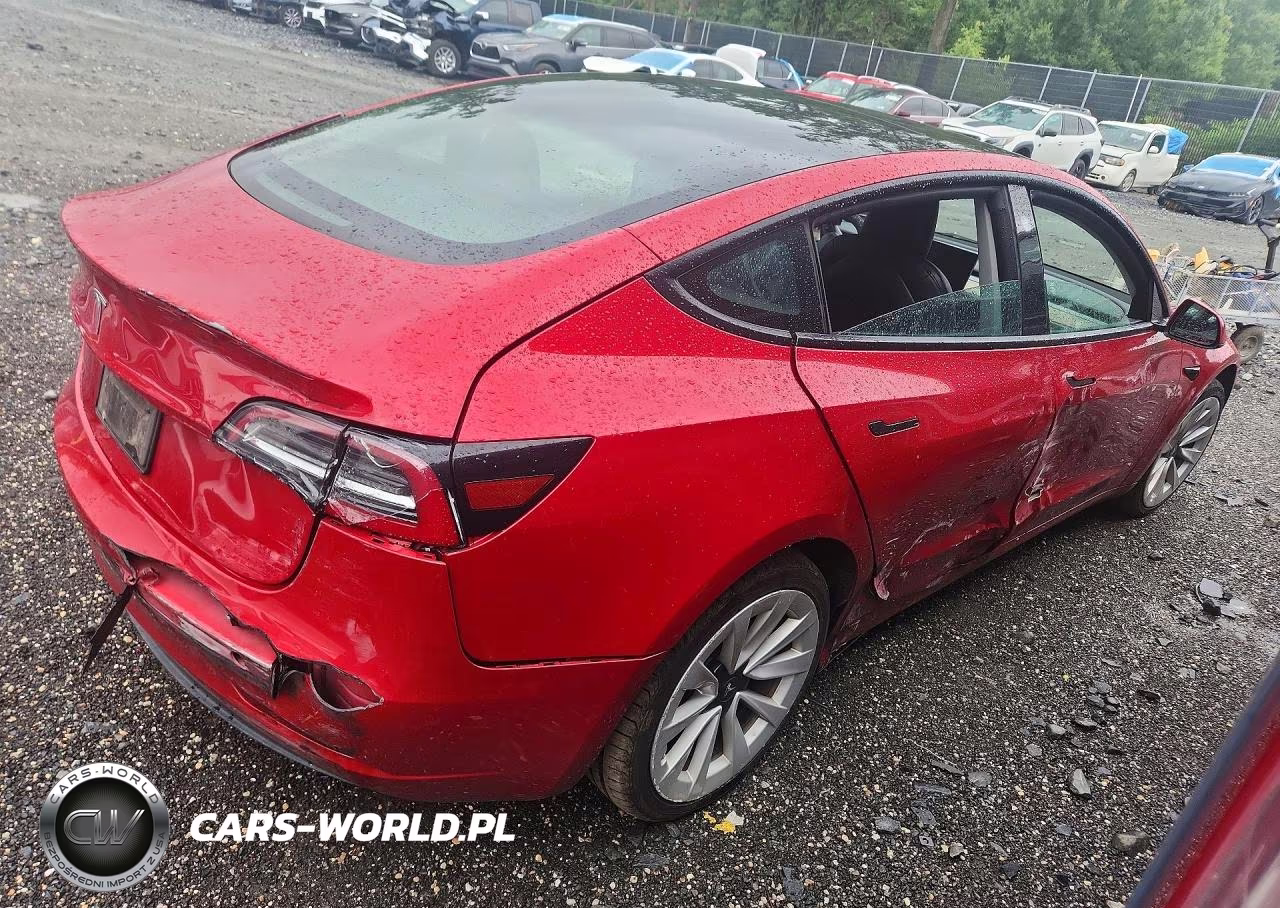 2023 Tesla Model 3 VIN:5YJ3E1EA7PF436510 - 3