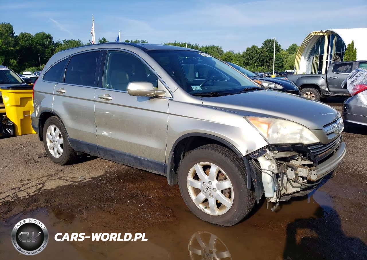 2007 Honda Cr-V Exl VIN:JHLRE38767C002486 - 4