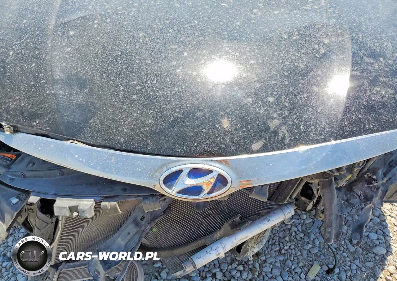 2014 Hyundai Sonata Hybrid VIN:KMHEC4A4XEA107110 - 11
