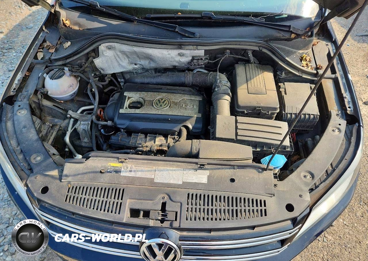 2013 Volkswagen Tiguan S VIN:WVGBV7AX5DW556916 - 12