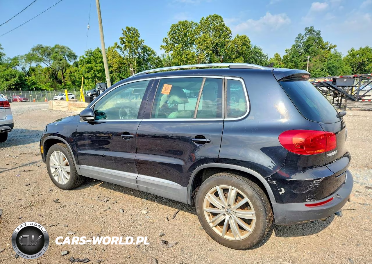 2013 Volkswagen Tiguan S VIN:WVGBV7AX5DW556916 - 2