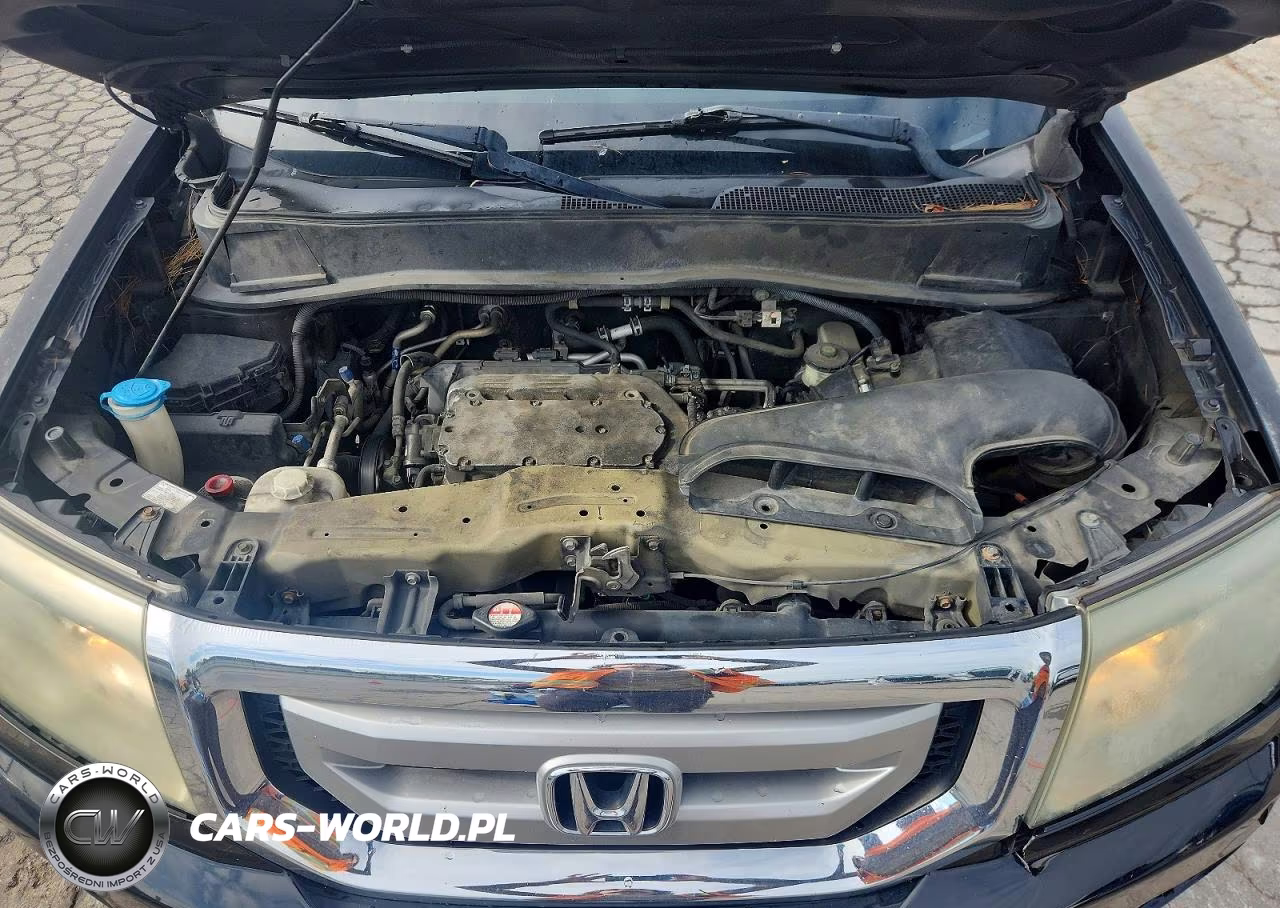 2009 Honda Pilot Exl VIN:5FNYF38569B022750 - 12