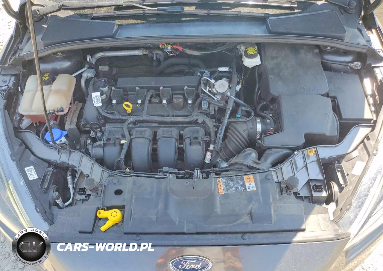 2018 Ford Focus Sel VIN:1FADP3M22JL222443 - 11