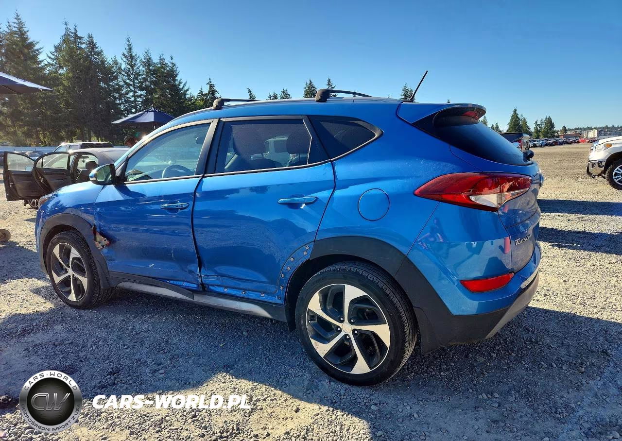 2017 Hyundai Tucson Sport VIN:KM8J3CA26HU364436 - 2