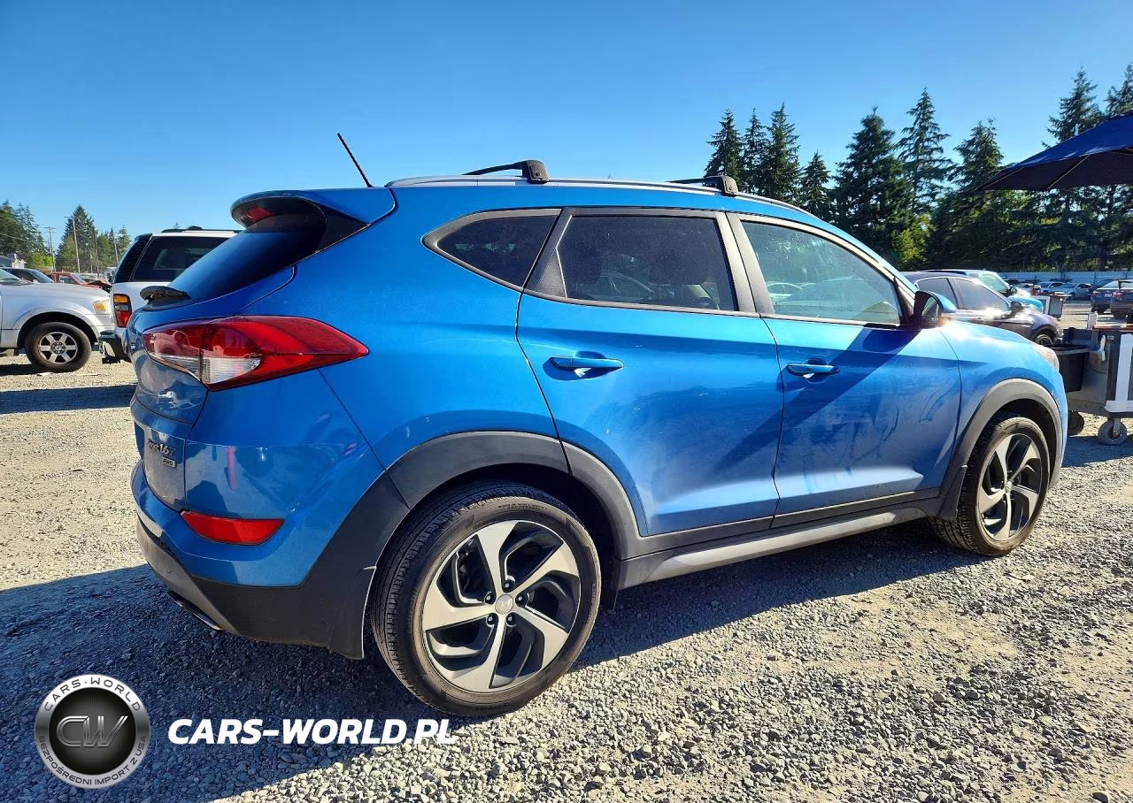 2017 Hyundai Tucson Sport VIN:KM8J3CA26HU364436 - 3