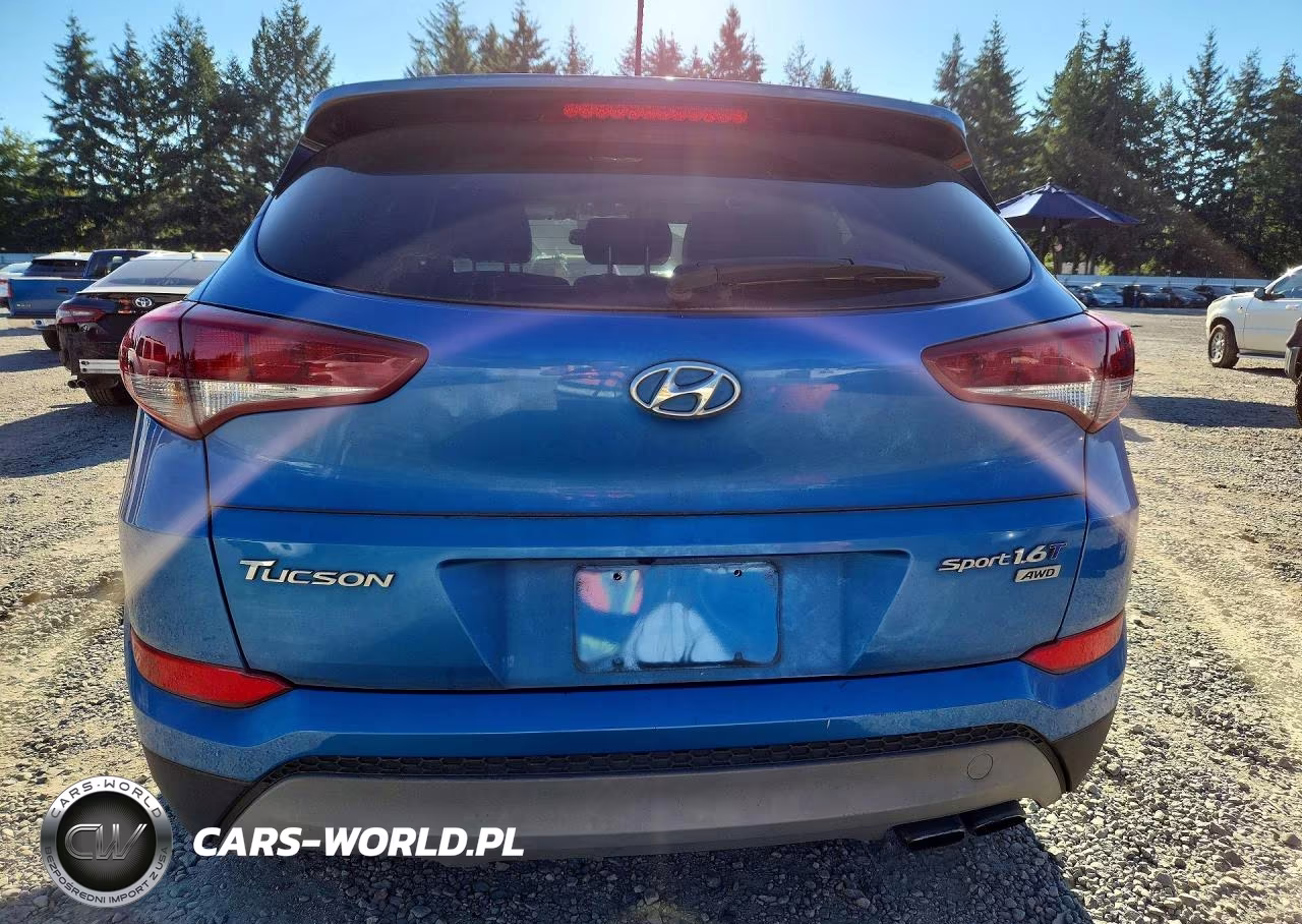 2017 Hyundai Tucson Sport VIN:KM8J3CA26HU364436 - 6